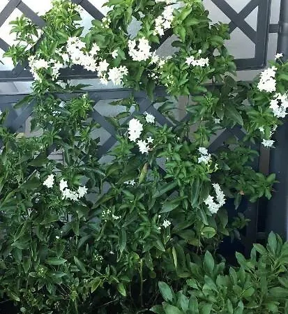 4 In Piazza Bed & Breakfast 4*