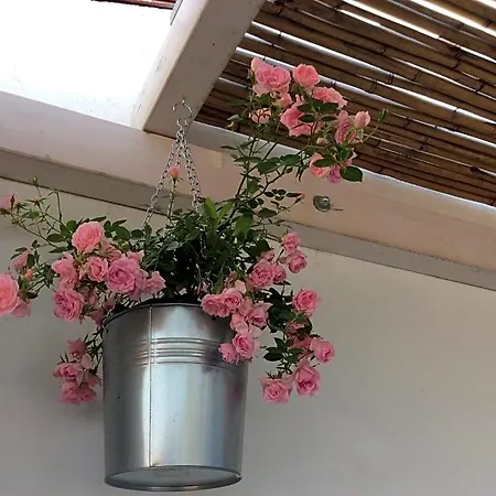 4 In Piazza فندق مبيت وإفطار 4*